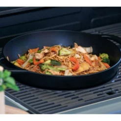 Campingaz Culinary Modular Cast Iron Wok -Tuin Vonk Verkoop 102 2 campingaz culinary modular cast iron wok 2000036961