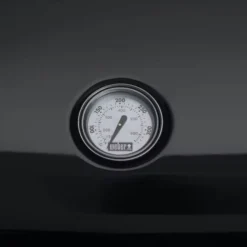 Weber Elektrische Barbecue Lumin Compact Black Met Stand -Tuin Vonk Verkoop 21 2 weber elektrische barbecue lumin compact black met stand temperatuurmeter 91010853