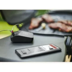 Weber® Connect Smart Grilling Hub -Tuin Vonk Verkoop 333 3 weber connect smart grilling hub 3202