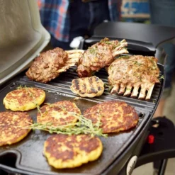 Weber® Q 1200 Gasbarbecue Met Stand -Tuin Vonk Verkoop 40 3 weber ® q 1200 gasbarbecue met stand 51012475