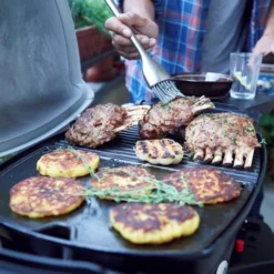 Weber® Q 1200 Gasbarbecue Met Stand -Tuin Vonk Verkoop 40 5 weber ® q 1200 gasbarbecue met stand 51012475