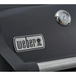 Weber Spirit E-225 Gbs Gasbarbecue Buitenkeuken -Tuin Vonk Verkoop 43 3 weber spirit e 225 gbs gasbarbecue buitenkeuken 46312264